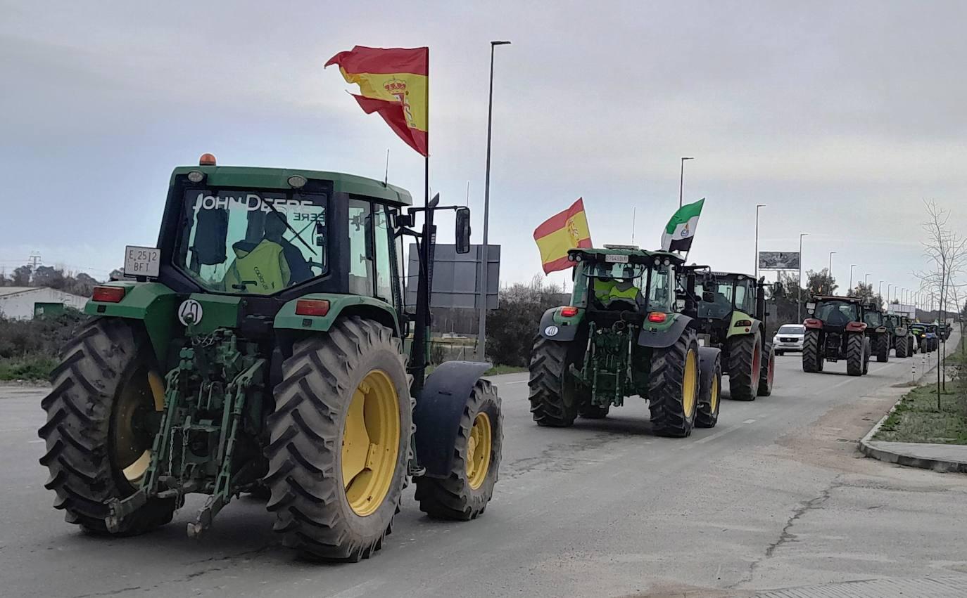 El Ayuntamiento de Talayuela apoya la defensa del campo