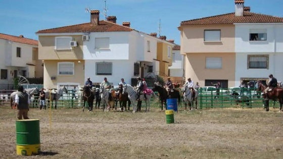 Hasta once actividades componen el programa de la Feria del Caballo