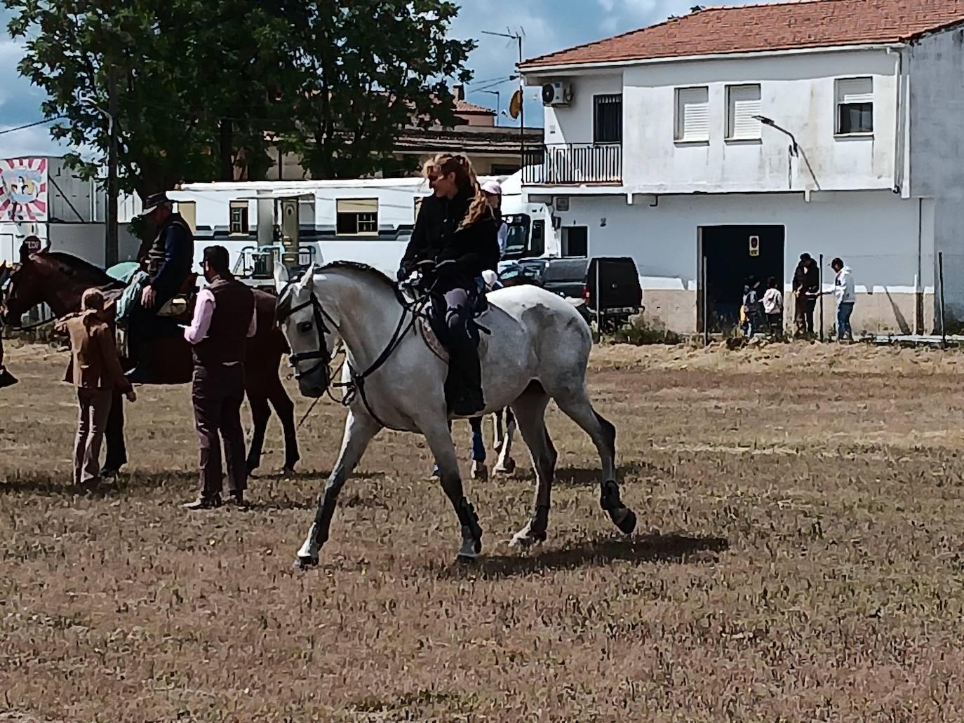 Talayuela despide a San Marcos... hasta el año que viene