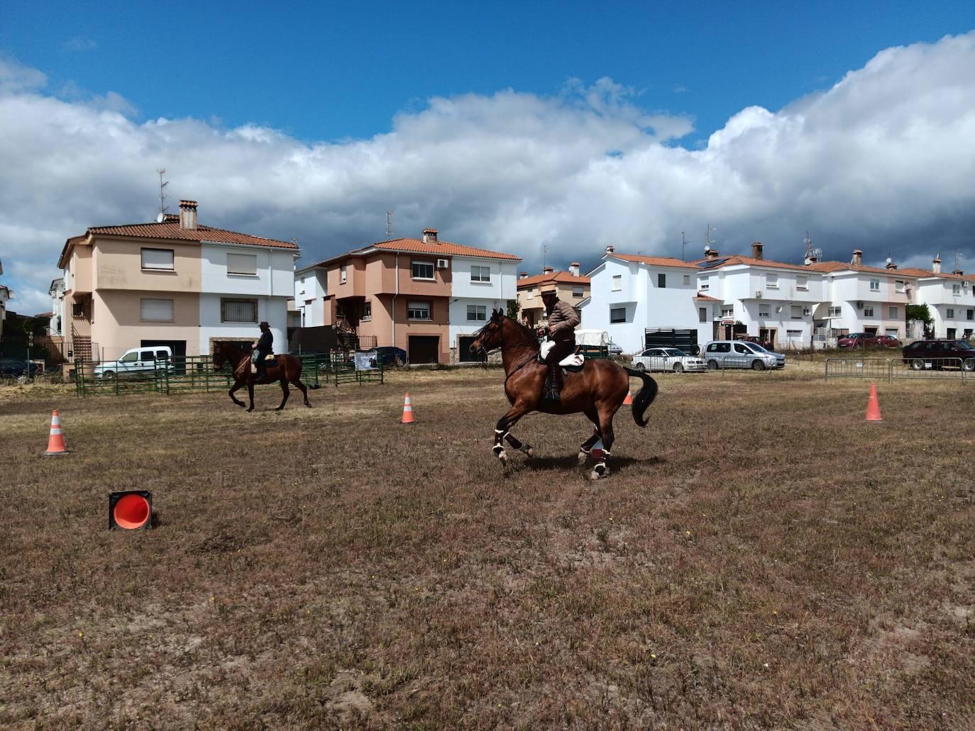 Talayuela despide a San Marcos... hasta el año que viene