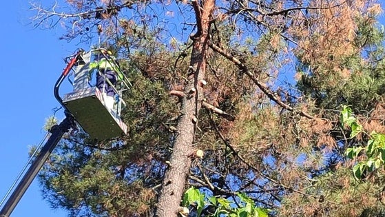 Talayuela acomete obras de mantenimiento en varios puntos del municipio  