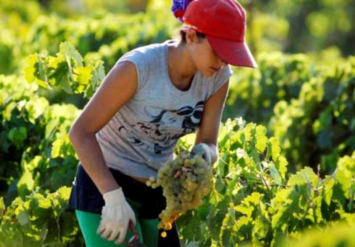 El Sexpe organiza un curso reservado a mujeres rurales