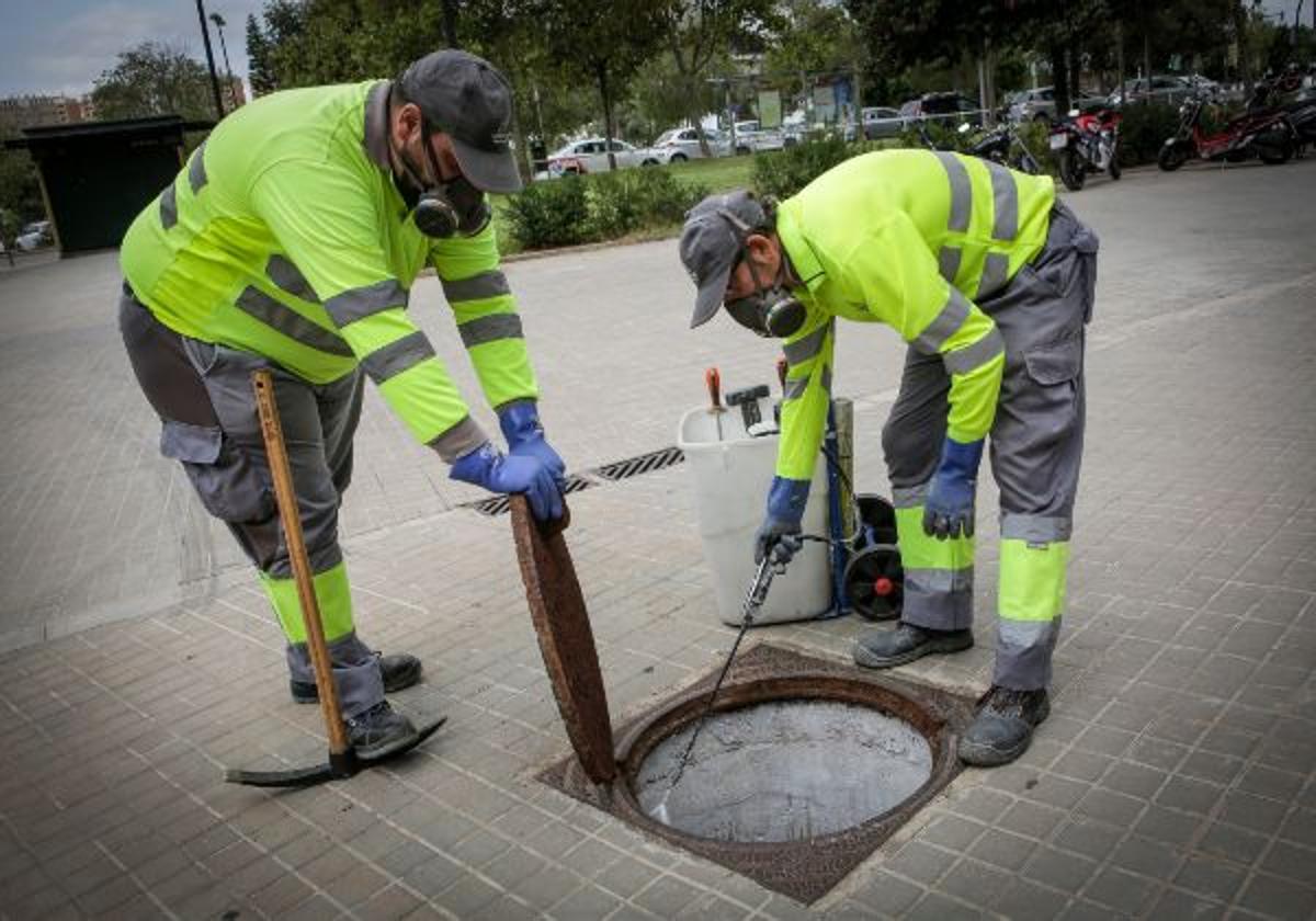 Los trabajos se iniciaron el martes