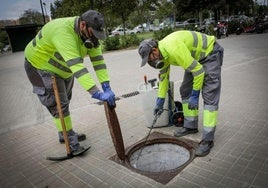 Los trabajos se iniciaron el martes