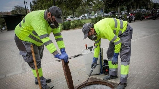 Comienzan las tareas de limpieza de insectos y ratas en las pedanías