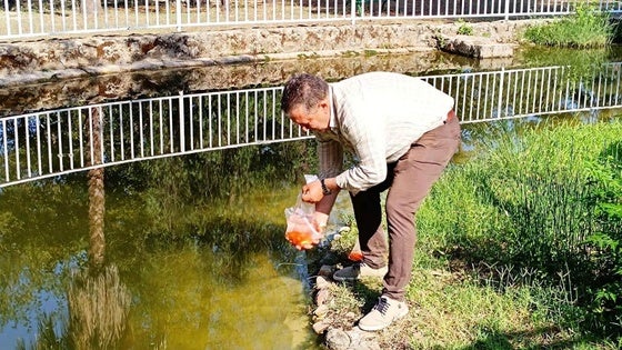 El estanque del parque natural recibe 300 peces