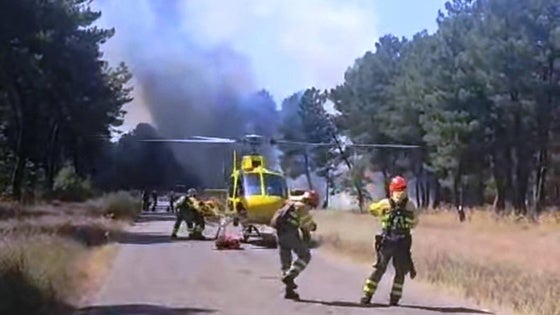 Se suceden varios incendios intencionados en zonas del pinar y el baldío