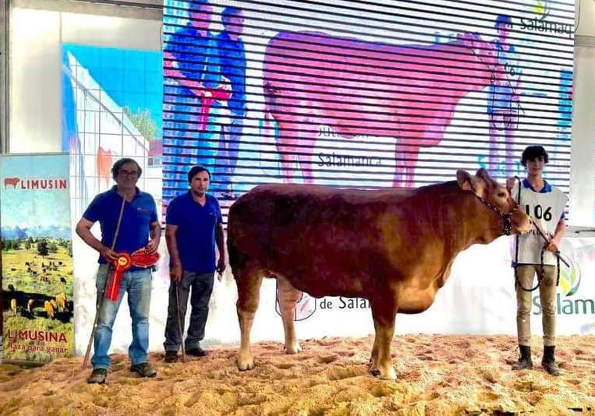 Los ganaderos talayuelanos en Salamanca