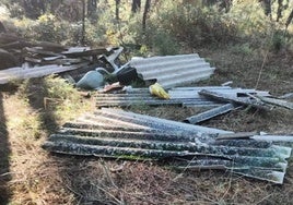 Restos encontrados en el pinar