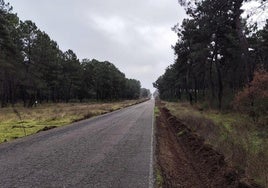 La carretera de la Corta se limpia de maleza