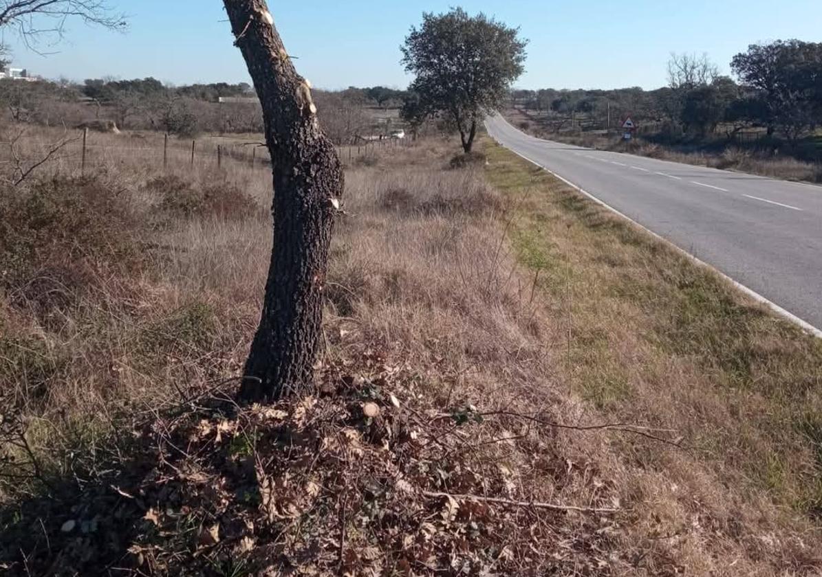 Carretera de San María de las Lomas