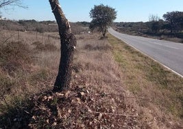 Carretera de San María de las Lomas