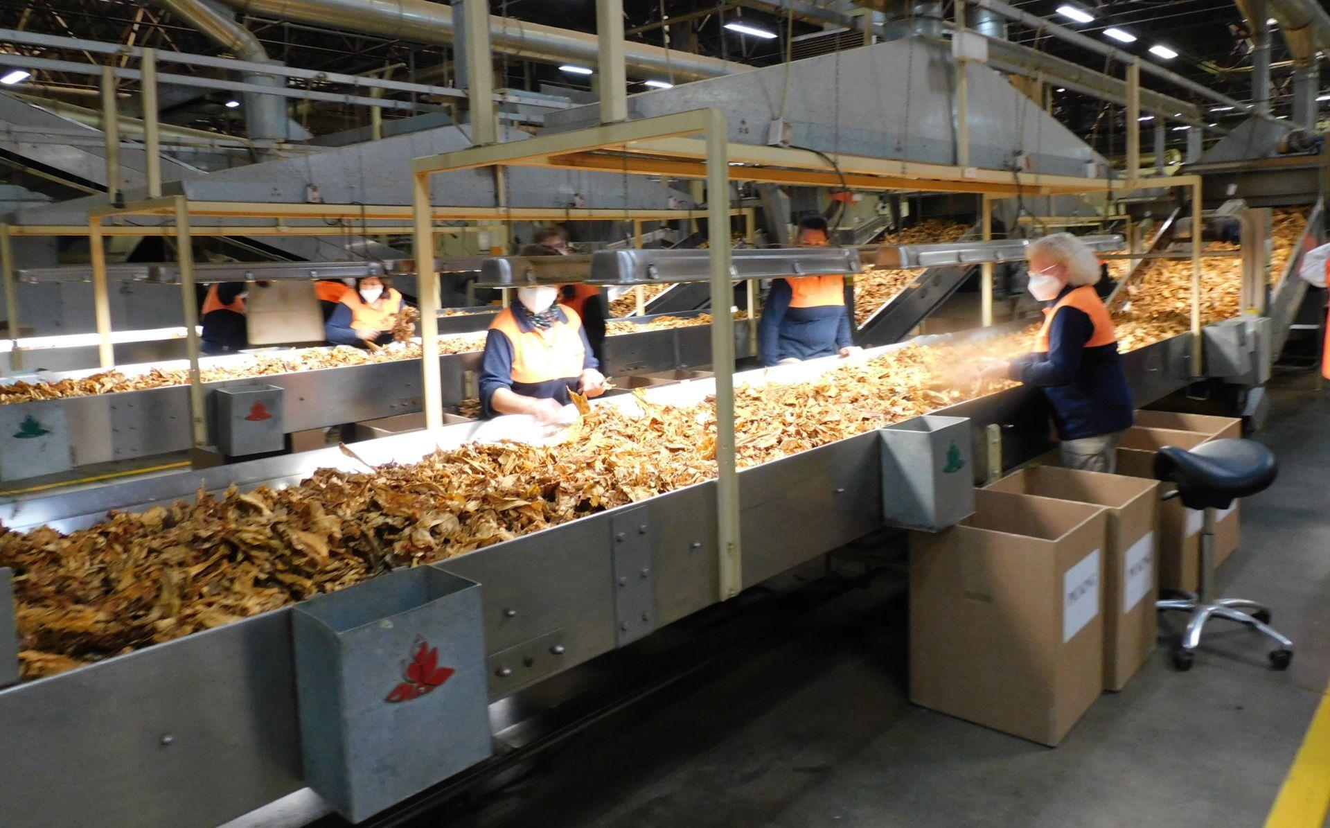 Cetarsa abre sus puertas a los agricultores