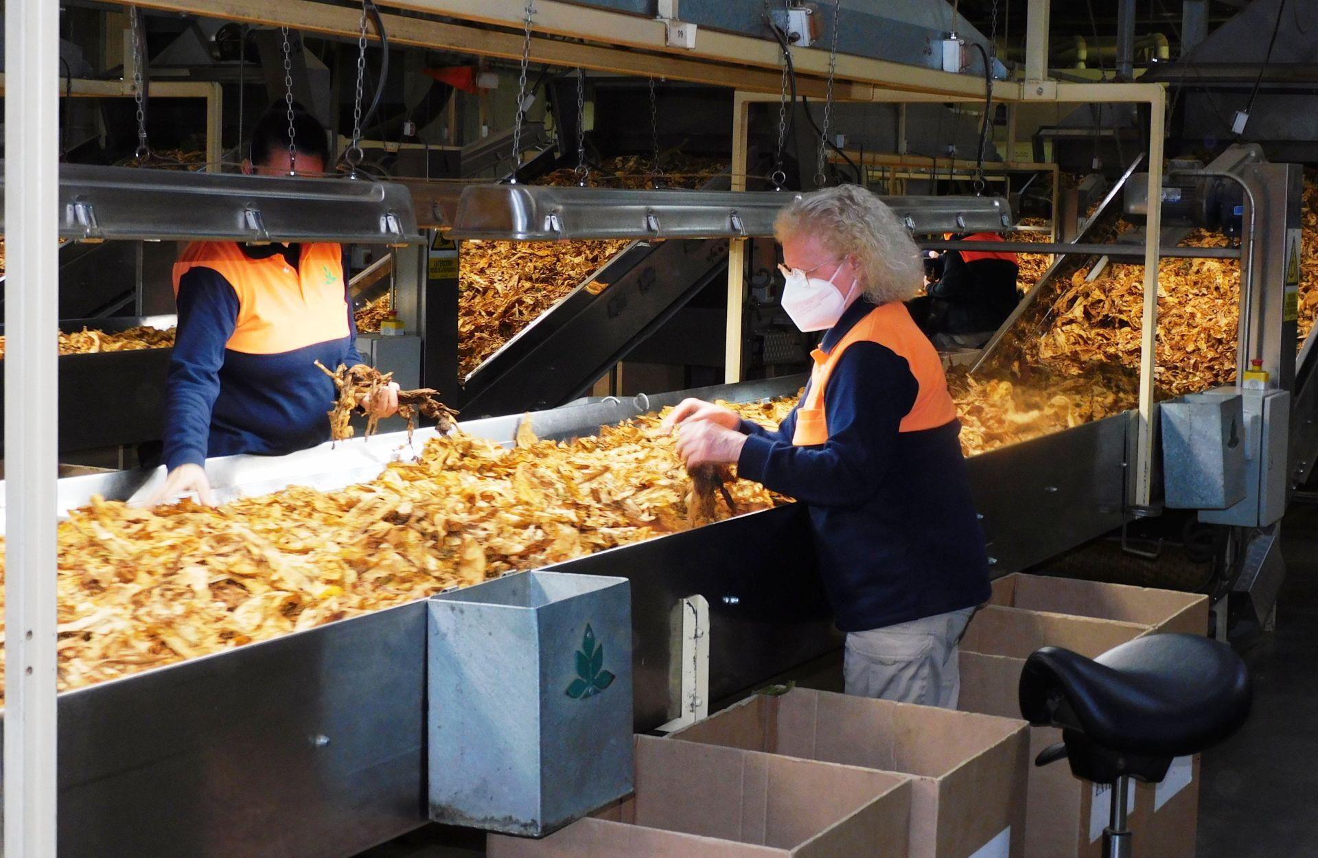 Cetarsa abre sus puertas a los agricultores