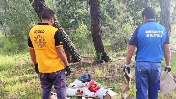 Corazón Solidario limpiará el pinar el día 5 de abril