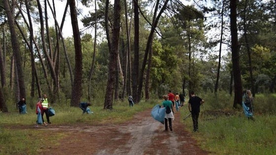 El Club Rotary suspende por la lluvia la limpieza del pinar programada para el sábado