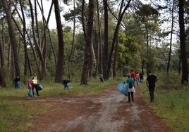El Club Rotary suspende por la lluvia la limpieza del pinar programada para el sábado