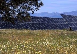 Paneles de la planta solar de Talayuela