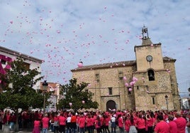 Anterior edición de la Marcha Rosa