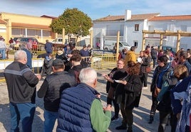 Barquilla vivirá el domingo su tradicional matanza