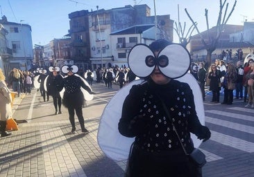 Sambamanía en comparsas y El Revoltijo en carrozas, triunfadores del Carnaval