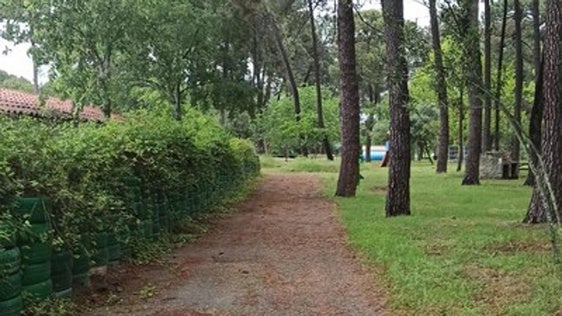 'Raíces y Pinares' permitirá dar a conocer el entorno de Talayuela y su historia