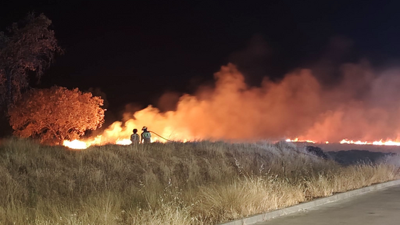 Talayuela y Barquilla sufren incendios en los últimos días