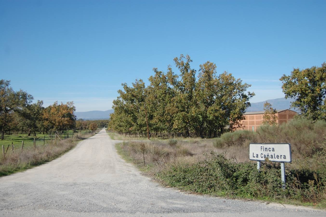 Formarán a diez jóvenes en producción de semillas y plantas en invernadero