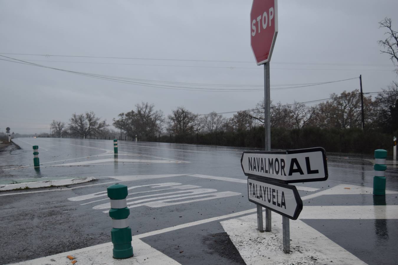 Los jabalíes son el principal peligro estos días en la carretera Talayuela-Navalmoral