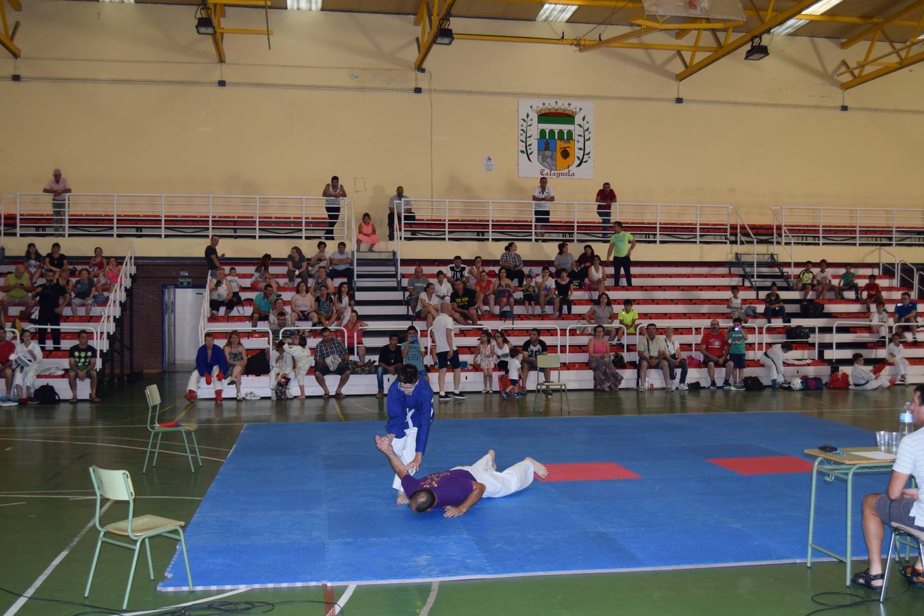 Buena participación de los deportistas talayuelanos en el torneo de karate de fin de temporada de las escuelas de la zona
