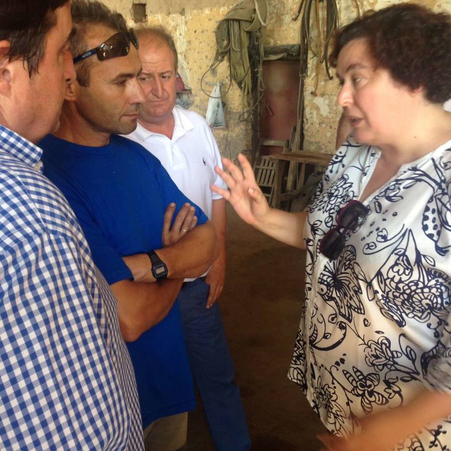 La Consejería de Políticas Agrarias destaca la relevancia del sector tabaquero en la agricultura regional