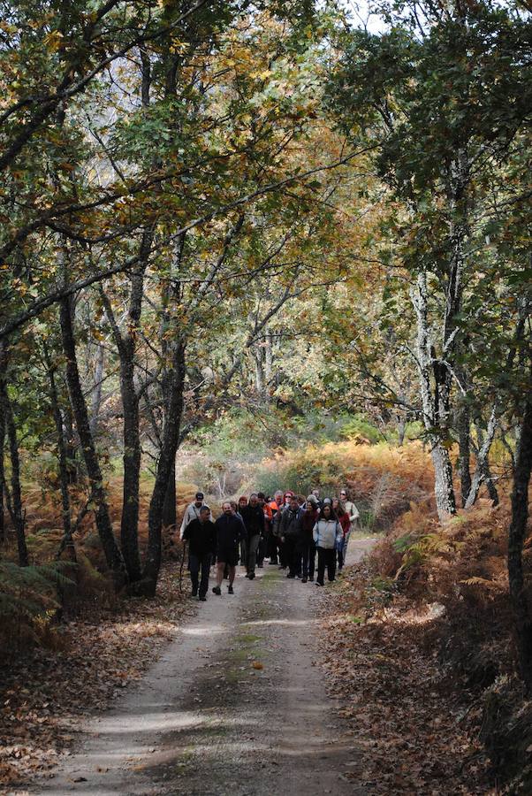 La Fundación Cepaim organiza un retiro de yoga en la Comarca del Campo Arañuelo