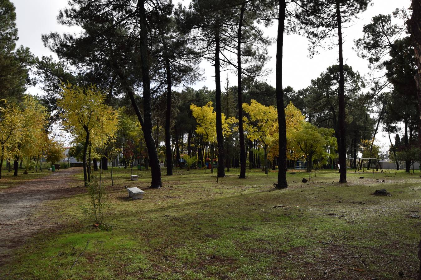 El PSOE de Talayuela pone en duda el proyecto de mejora del Parque Natural