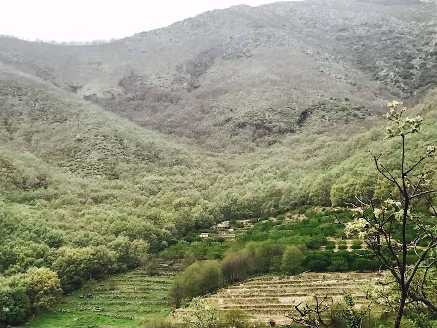El fuego ha arrasado esta primavera 1.015 hectáreas en la Garganta de los Papúos
