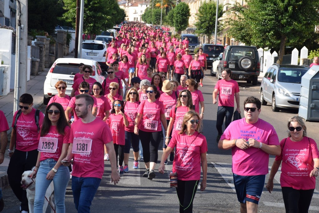 Las calles de la ciudad se tiñeron de rosa, con la celebración ayer de la multitudinaria VIII Marcha Contra el Cáncer. Reunió no solo a vecinos de Trujillo, sino también de diferentes poblaciones de la comarca e incluso, de otras zonas de Extremadura. Al final, se vendieron 3.132 dorsales, una cifra muy parecida a la del año pasado, a un precio de 5 euros. Junto a esos dorsales, se entregaron las camisetas rosas identificativas.