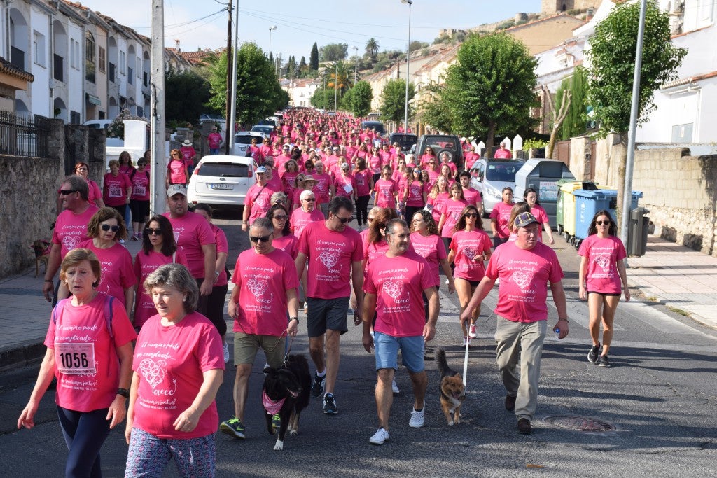 Las calles de la ciudad se tiñeron de rosa, con la celebración ayer de la multitudinaria VIII Marcha Contra el Cáncer. Reunió no solo a vecinos de Trujillo, sino también de diferentes poblaciones de la comarca e incluso, de otras zonas de Extremadura. Al final, se vendieron 3.132 dorsales, una cifra muy parecida a la del año pasado, a un precio de 5 euros. Junto a esos dorsales, se entregaron las camisetas rosas identificativas.