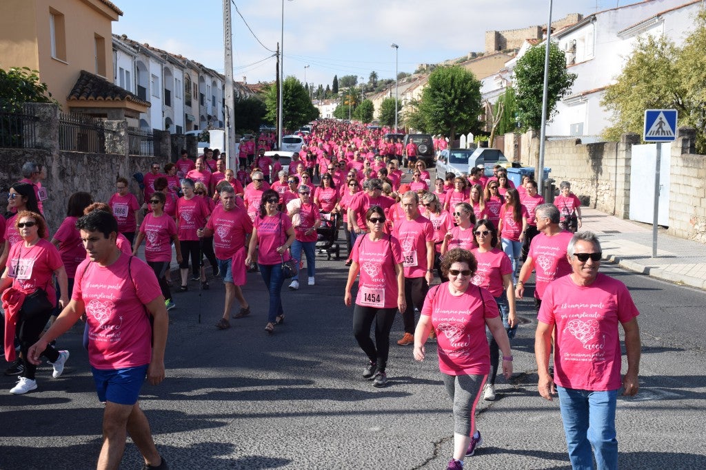 Las calles de la ciudad se tiñeron de rosa, con la celebración ayer de la multitudinaria VIII Marcha Contra el Cáncer. Reunió no solo a vecinos de Trujillo, sino también de diferentes poblaciones de la comarca e incluso, de otras zonas de Extremadura. Al final, se vendieron 3.132 dorsales, una cifra muy parecida a la del año pasado, a un precio de 5 euros. Junto a esos dorsales, se entregaron las camisetas rosas identificativas.