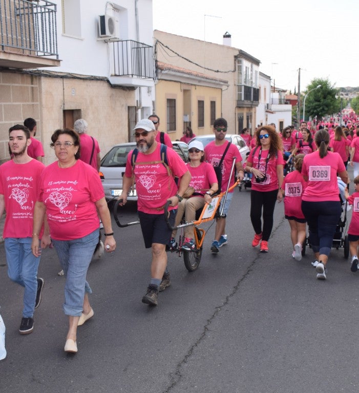 Las calles de la ciudad se tiñeron de rosa, con la celebración ayer de la multitudinaria VIII Marcha Contra el Cáncer. Reunió no solo a vecinos de Trujillo, sino también de diferentes poblaciones de la comarca e incluso, de otras zonas de Extremadura. Al final, se vendieron 3.132 dorsales, una cifra muy parecida a la del año pasado, a un precio de 5 euros. Junto a esos dorsales, se entregaron las camisetas rosas identificativas.