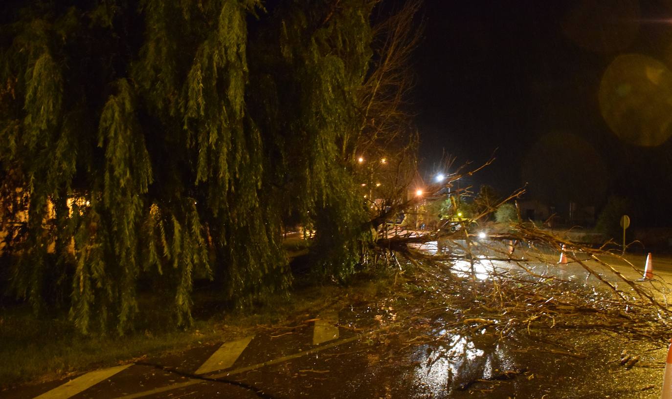 Imagen principal - Una fuerte tormenta provoca diversos incidentes en la ciudad