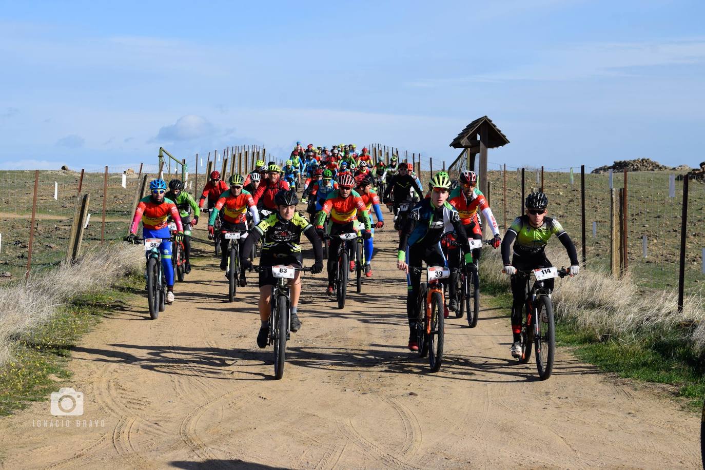 Participantes en la ruta 