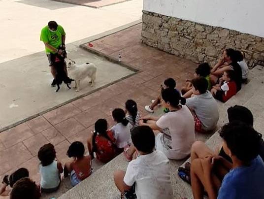 Una de las propuestas realizada este año 