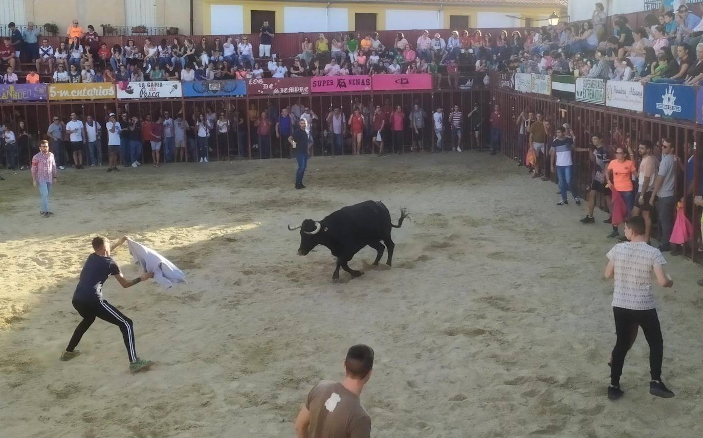Festejos taurinos en una edición anterior 