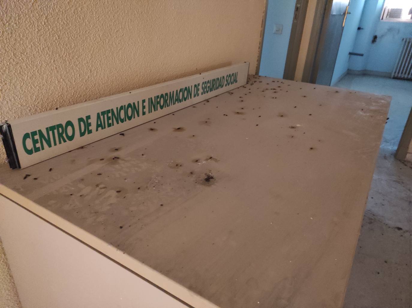 Fotos: Limpieza del edificio de la Segurida Social