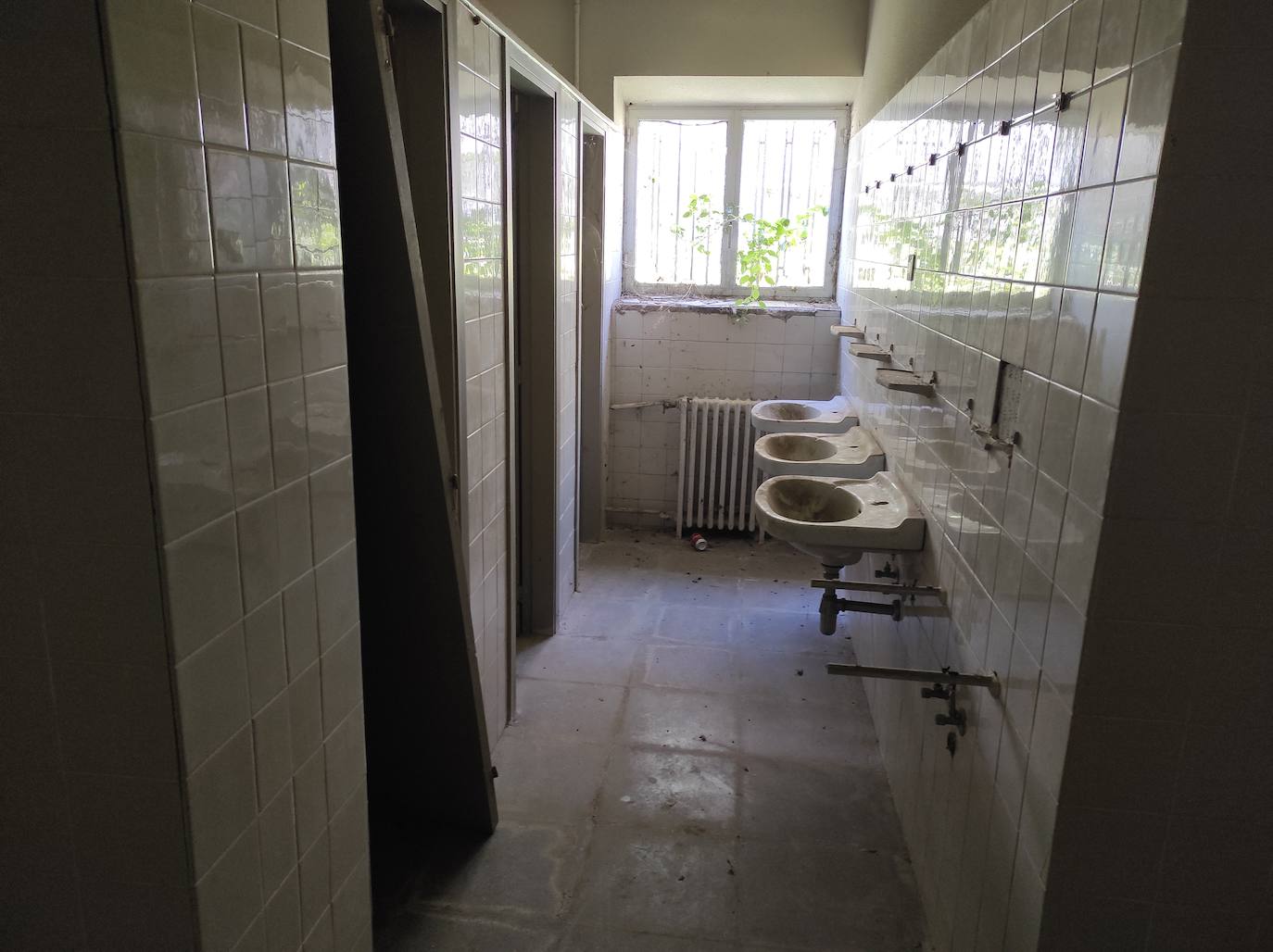 Fotos: Limpieza del edificio de la Segurida Social