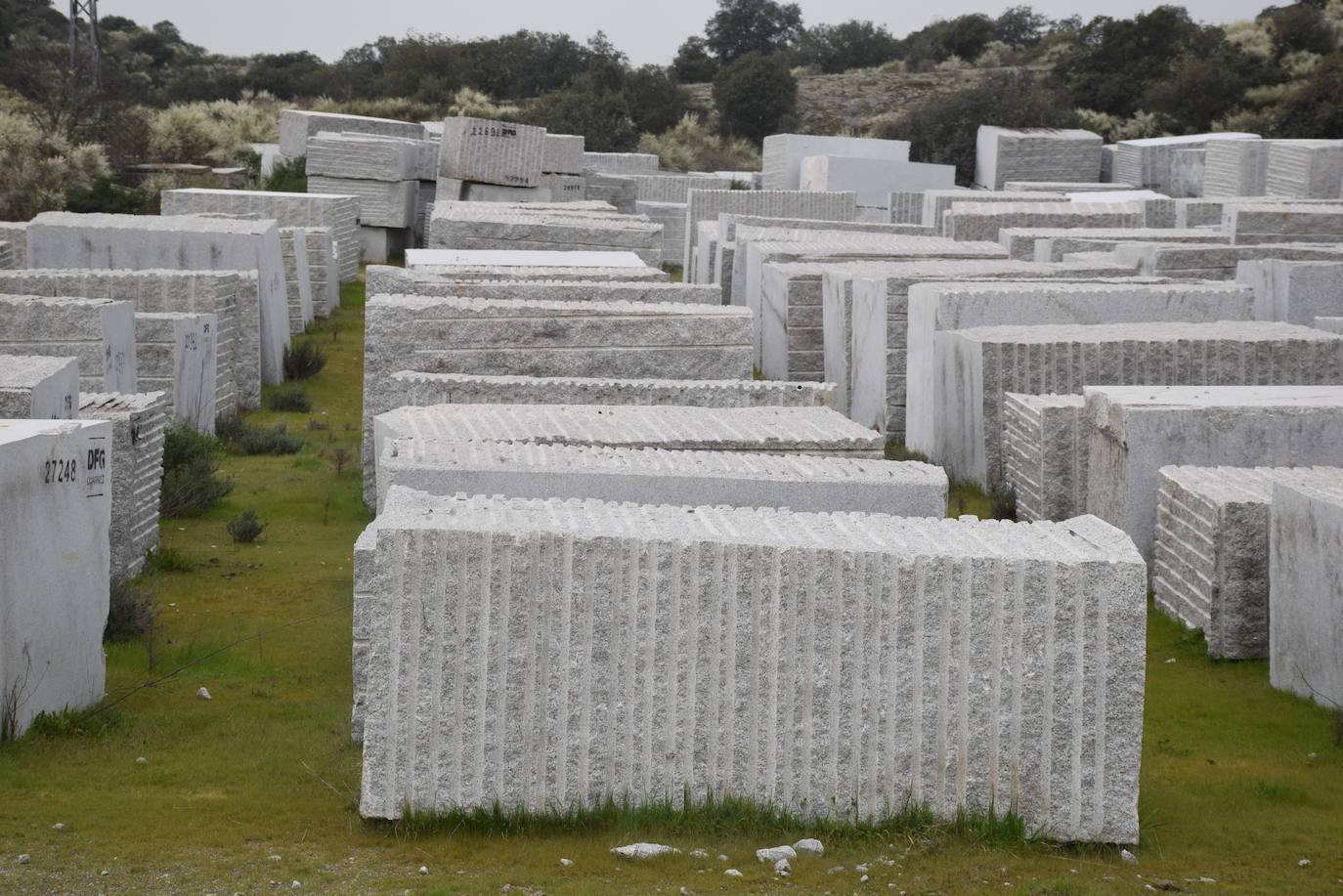 Fotos: La cantera que está conquistando el mundo