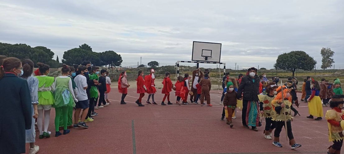 Fotos: El carnaval en los colegios