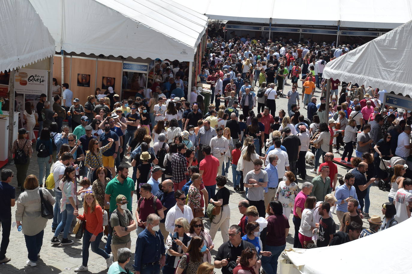 Fotos: Premiados en la Feria del Queso de Trujillo 2022