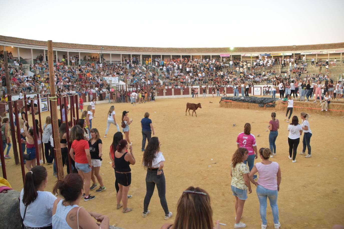 La programación taurina de las fiestas patronales contará con dos capeas nocturnas