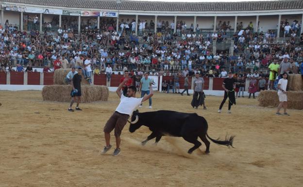 Imagen. Un aficionando haciendo un recodrte al animal, en la capea de ayer.