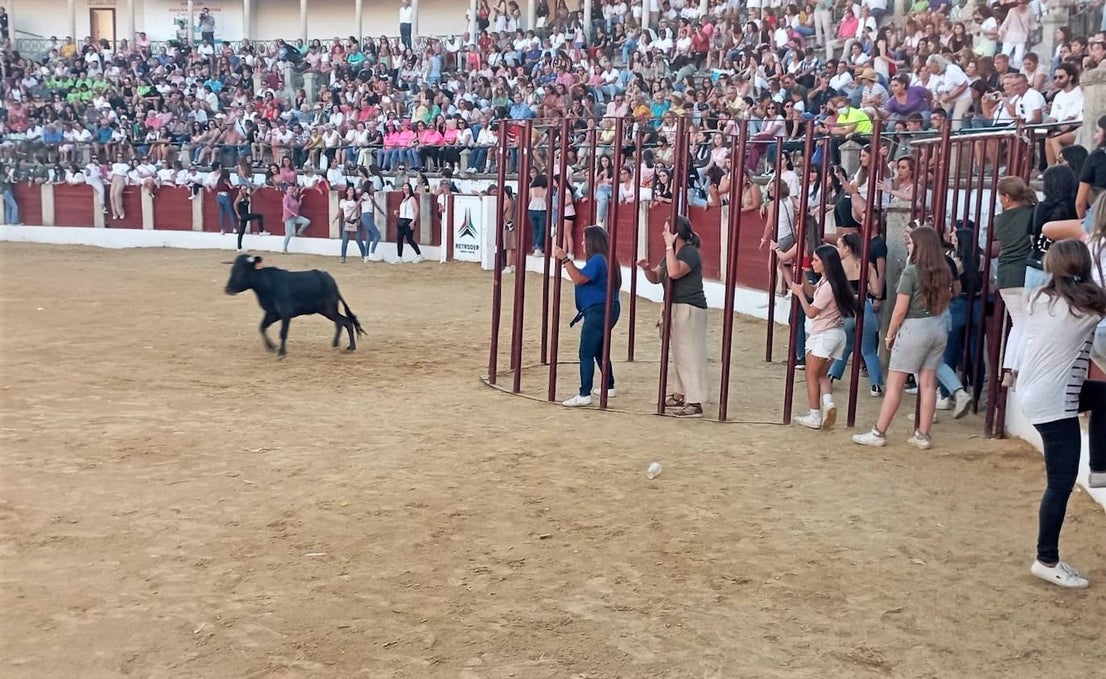 Fotos: Gran ambiente en la jornada de la capea de las mujeres